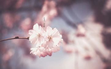 三月的雪作文精选5篇
