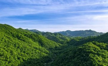 路山墙的安妮读后感精选8篇