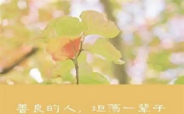 诚信友善作文800字5篇