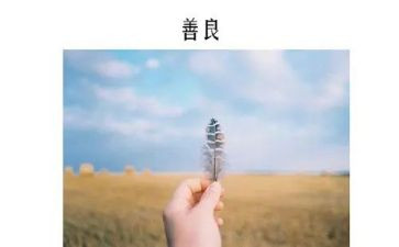 小学生关于善的演讲稿7篇