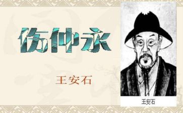 伤仲永的读后感500字8篇