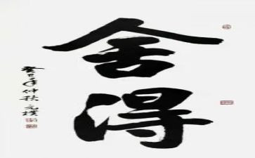 舍得读后感6篇
