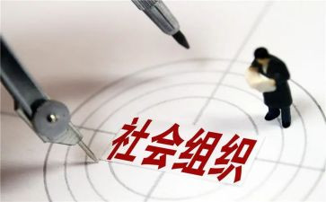 社会活动的心得体会参考7篇