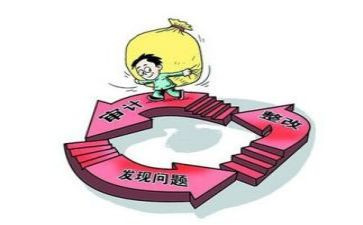 财务年度审计工作总结6篇