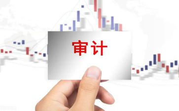 审计助理实习报告5000字8篇