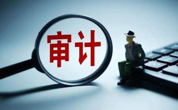 审计年终工作总结精选6篇
