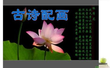 幼儿诗活动教案通用6篇
