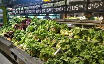 市场营销专业自我鉴定参考6篇