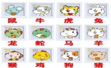大班语言十二生肖教案精选7篇