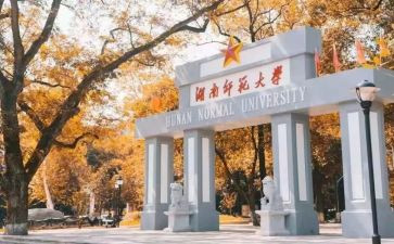 师范生心得体会推荐5篇