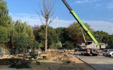 施工周工作总结参考7篇