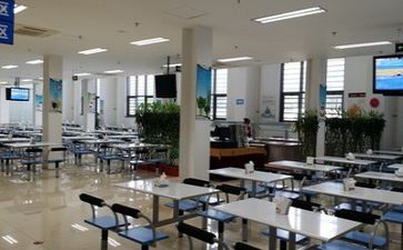 关于食堂调查报告6篇