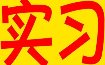 实习报告的自我总结参考8篇