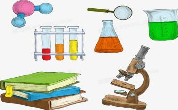学校实验教学总结7篇
