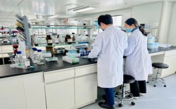实验教学心得体会8篇