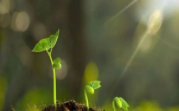 守护者的读后感5篇