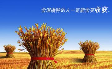 我收获了——的作文通用5篇
