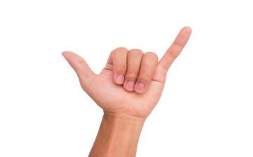 手指教案教案6篇