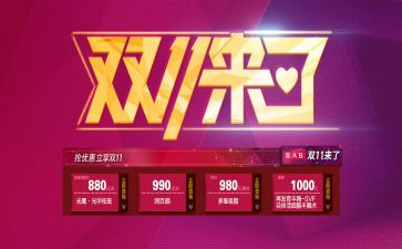 双11的作文800字通用7篇
