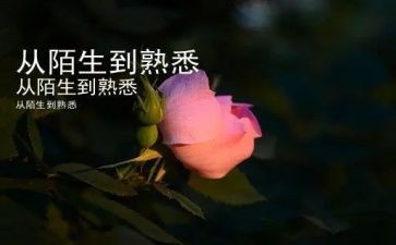 我最熟悉的人作文400字6篇