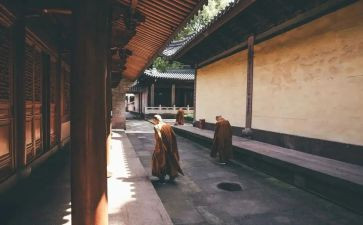 寺库调研报告通用5篇