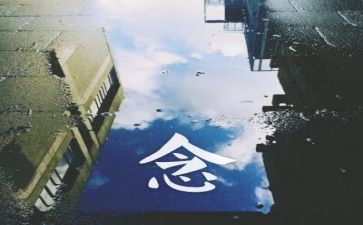 我思念你作文精选8篇