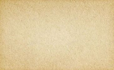 作文素材700字7篇