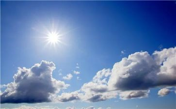 大班音乐种太阳教案6篇