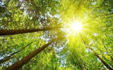 太阳船教案模板5篇