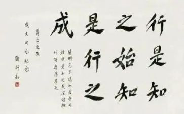 教师要学陶行知心得体会6篇