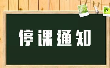 被停课的心得7篇