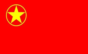 团会的心得体会5篇
