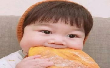 我的外甥的作文5篇