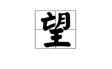 我盼望了作文6篇