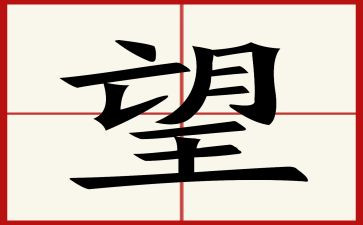 作文我盼望_____500字8篇
