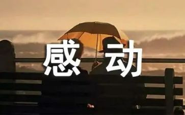 让我感动的事作文800字优秀7篇