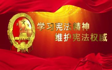 搜宪法小卫士心得体会7篇