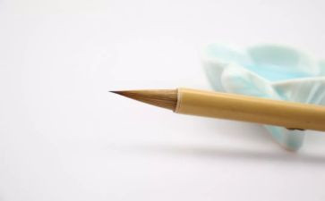 他牵动我的情思作文600字7篇