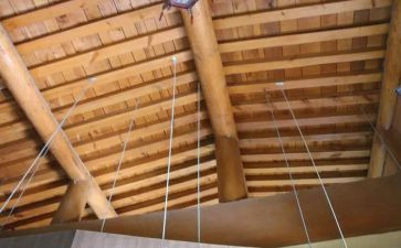 安然握住作文5篇
