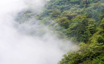 雾都孤儿心得体会7篇