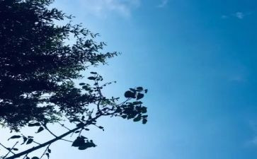 国庆无聊作文6篇