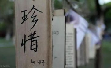 关于珍惜水的演讲稿参考6篇
