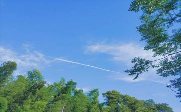 写夏天的作文500字精选5篇
