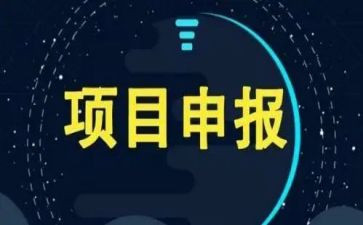 项目办的工作计划精选8篇