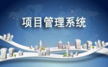项目办的工作计划通用7篇