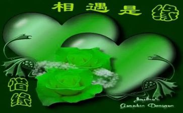 我与相遇在2024作文优秀6篇