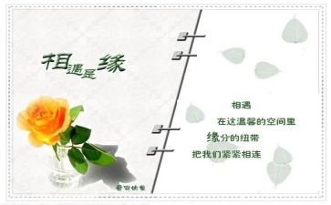 2024我与相遇作文7篇