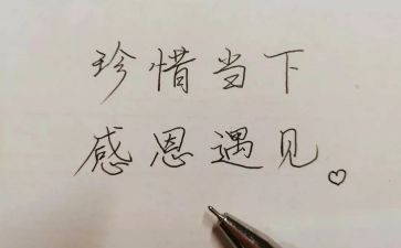 我与___相遇在2024作文5篇