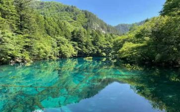 大先生读后感推荐5篇