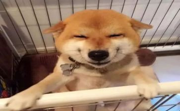 微笑演讲稿500字6篇